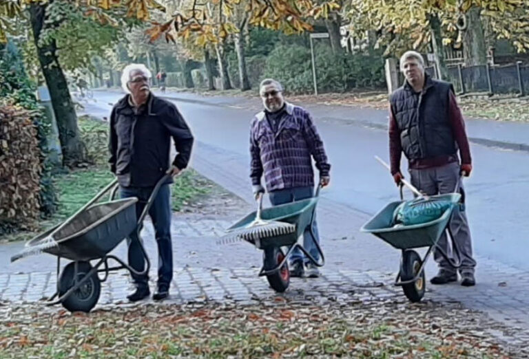 Hohen räumt auf (Birgit Söhn)